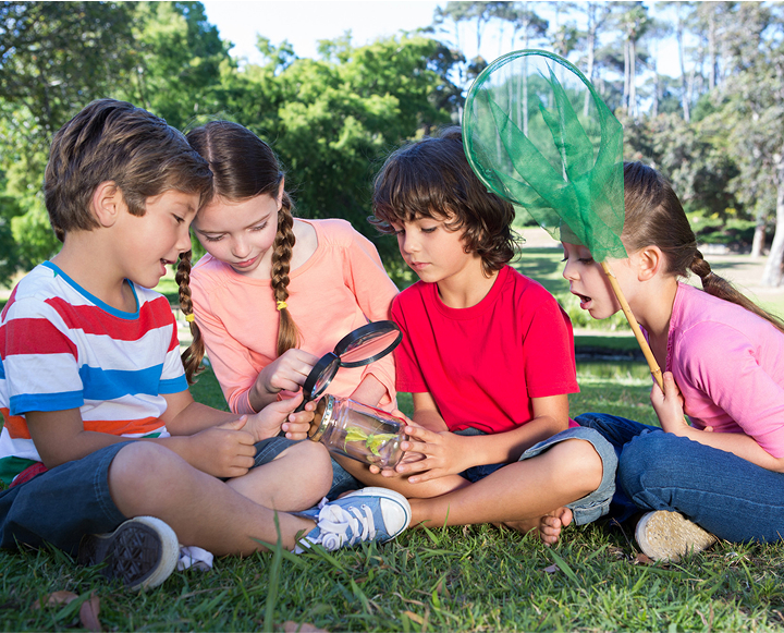 A group of children sitting on the grass, intently observing a bug in their hands.