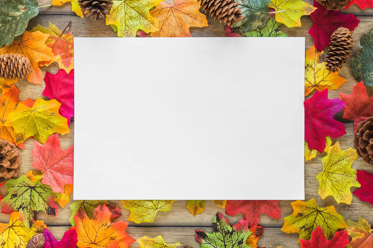 Once Upon a Season: How to Highlight Each One with Seasonal Press Wall Displays